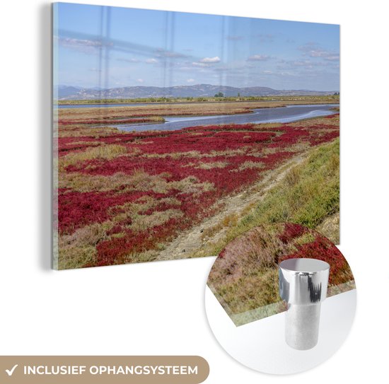 MuchoWow® Glasschilderij 150x100 cm - Schilderij acrylglas - Rood zeekraal in Griekenland - Foto op glas - Schilderijen