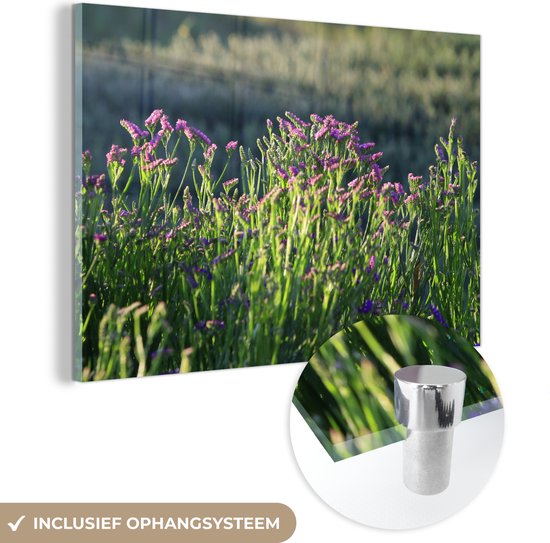 MuchoWow® Glasschilderij 30x20 cm - Schilderij acrylglas - Limonium bloemen in een groen landschap - Foto op glas - Schilderijen