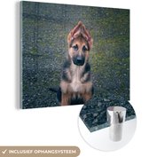 MuchoWow® Glasschilderij 40x30 cm - Schilderij acrylglas - Duitse herder op straat - Foto op glas - Schilderijen