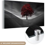MuchoWow® Glasschilderij 120x60 cm - Schilderij acrylglas - Zwart-wit foto met een rode boom - Foto op glas - Schilderijen