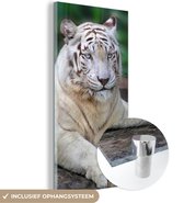 MuchoWow® Glasschilderij 40x80 cm - Schilderij acrylglas - Witte tijger - Boomstam - Bos - Foto op glas - Schilderijen