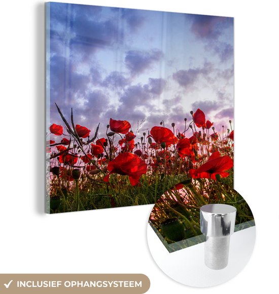 MuchoWow® Glasschilderij 50x50 cm - Schilderij acrylglas - Panorama van een kleurrijk veld klaprozen - Foto op glas - Schilderijen