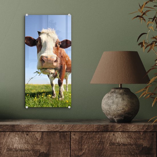 Peinture sur Verre - Vache - Animal - Fleurs - 20x40 cm - Peintures sur Verre Peintures - Photo sur Glas