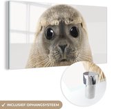 MuchoWow® Peinture sur Verre - Garçons - Phoques - Enfants - Filles - Animaux - 120x60 cm - Peintures sur Verre Peintures - Photo sur Glas