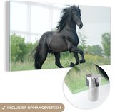 MuchoWow® Glasschilderij 80x40 cm - Schilderij acrylglas - Paard - Zwart - Natuur - Foto op glas - Schilderijen