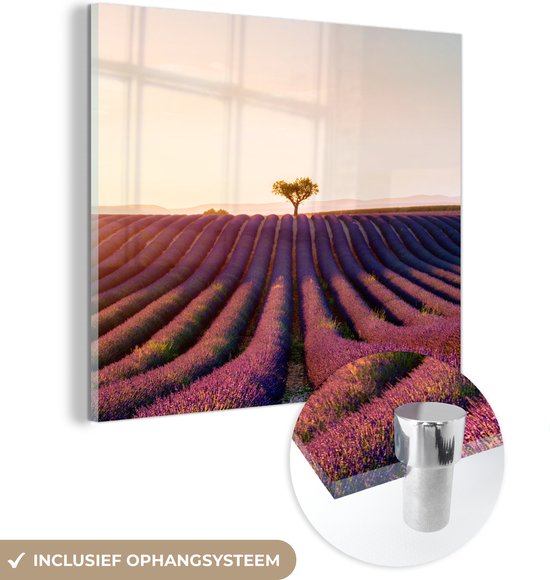MuchoWow® Glasschilderij - Afbeelding van een paars lavendelveld in het Franse Valensole - 50x50 cm - Acrylglas Schilderijen - Foto op Glas