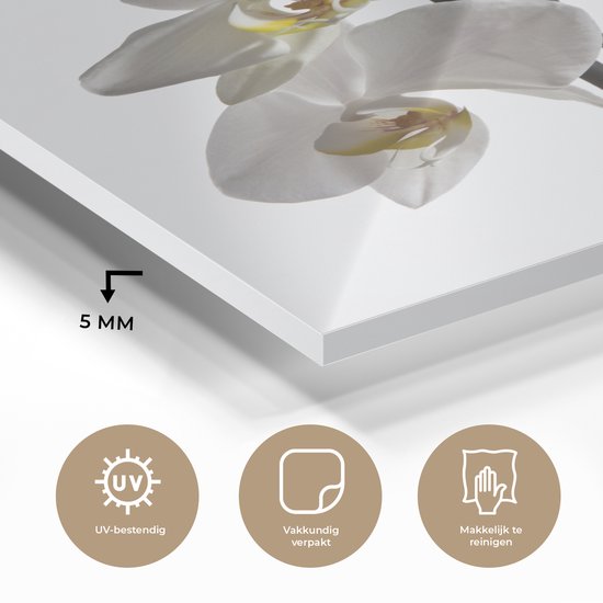 Peinture sur Verre - Orchidée Witte - 60x80 cm - Peintures sur Verre Peintures - Photo sur Glas