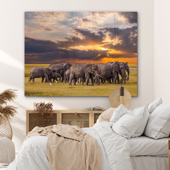 MuchoWow® Peinture sur verre 160x120 cm - Peinture sur verre acrylique - Éléphant - Animaux - Herbe - Coucher de soleil - Nature - Photo sur verre - Peintures