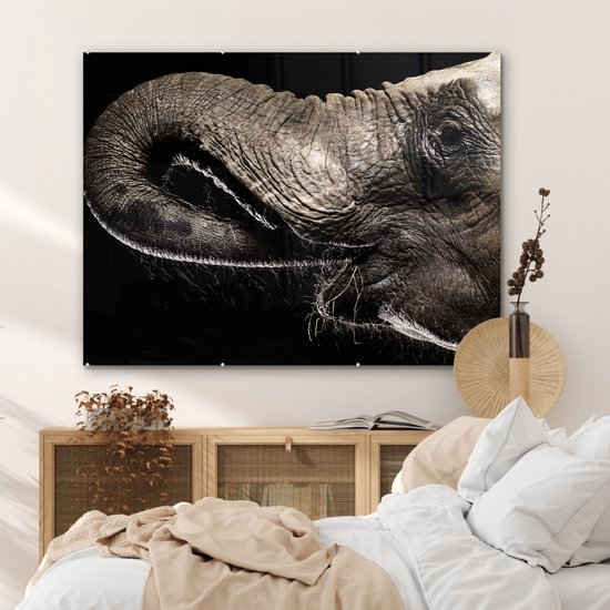MuchoWow® Peinture sur verre 120x90 cm - Peinture sur verre acrylique - Éléphant - Animaux - Zwart - Nature - Photo sur verre - Peintures