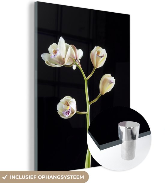 MuchoWow® Glasschilderij 30x40 cm - Schilderij acrylglas - Een tak met orchideeën op een zwarte achtergrond - Foto op glas - Schilderijen