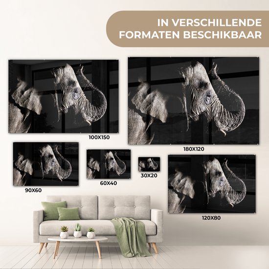 MuchoWow® Peinture sur verre 150x100 cm - Peinture sur verre acrylique - Éléphant - Zwart - Animaux - Nature - Photo sur verre - Peintures
