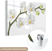 Peinture sur verre - une orchidée blanche - 60x40 cm - Peintures sur Verre Peintures - Photo sur Glas