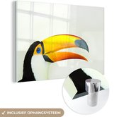 MuchoWow® Peinture sur Verre - Une Illustration de la Tête d'un Toucan - 120x80 cm - Peintures sur Verre Acrylique - Photo sur Glas