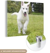MuchoWow® Glasschilderij 160x120 cm - Schilderij acrylglas - De puppy van een witte Duitse herder - Foto op glas - Schilderijen