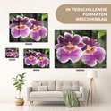 Product afbeelding  9