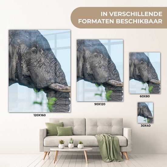 MuchoWow® Peinture sur verre 90x120 cm - Peinture sur verre acrylique - Éléphant - Animaux - Grijs - Nature - Photo sur verre - Peintures