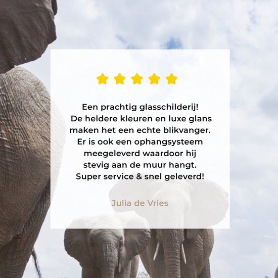 MuchoWow® Peinture sur verre 120x80 cm - Peinture sur verre acrylique - Éléphant - Animaux - Nature - Uni - Photo sur verre - Peintures