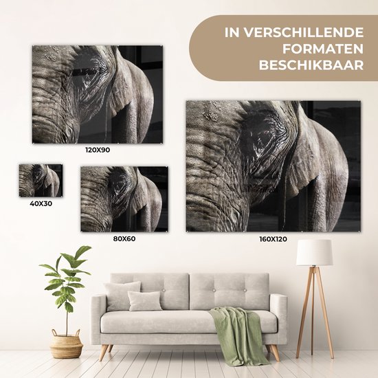MuchoWow® Peinture sur verre 120x90 cm - Peinture sur verre acrylique - Éléphant - Animaux - Gros plan - Zwart - Photo sur verre - Peintures