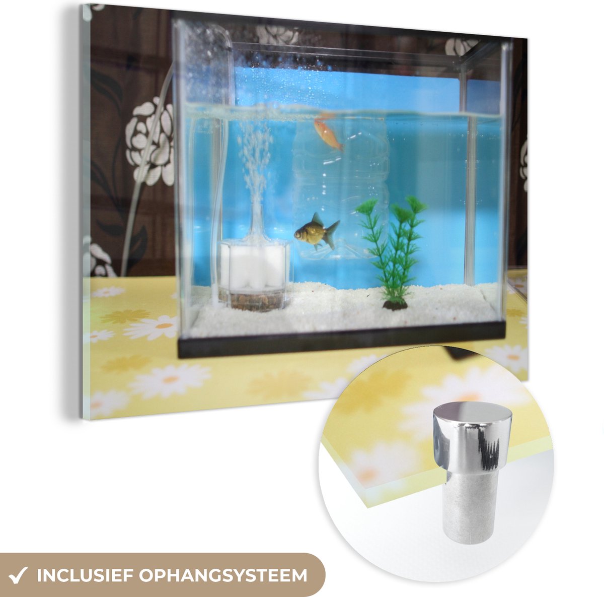 ® Glasschilderij 90x60 cm - Schilderij acrylglas - Twee visjes in een aquarium - Foto op glas - Muurdecoratie woonkamer - Wanddecoratie slaapkamer - Schilderijen