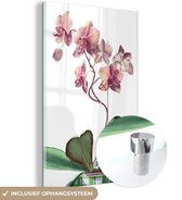 MuchoWow® Peinture sur verre - Une illustration d'une orchidée rose sur fond blanc - 40x60 cm - Peintures sur verre acrylique - Photo sur Glas