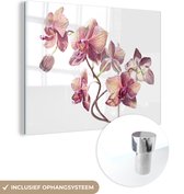 MuchoWow® Peinture sur verre - Une illustration d'orchidées roses sur fond blanc - 40x30 cm - Peintures sur verre acrylique - Photo sur Glas