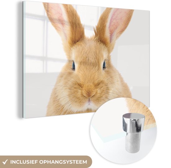 MuchoWow® Peinture sur Verre - Enfants - Lapin - Enfant - Filles - Garçons - 180x120 cm - Peintures sur Verre Acrylique - Photo sur Glas