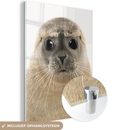 MuchoWow® Peinture sur verre 120x160 cm - Peinture sur verre acrylique - Garçons - Phoque - Enfants - Filles - Animaux - Photo sur verre - Peintures