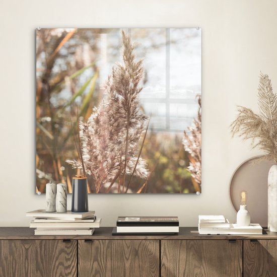 MuchoWow® Peinture sur verre 50x50 cm - Peinture sur verre acrylique - Roseau - Soleil - Plante - Photo sur verre - Peintures