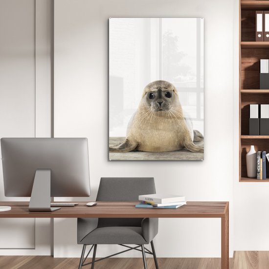 MuchoWow® Peinture sur verre 60x90 cm - Peinture sur verre acrylique - Sceau - Animaux - Enfant - Garçons - Filles - Enfants - Photo sur verre - Peintures