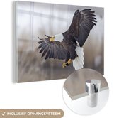 MuchoWow® Glasschilderij 120x80 cm - Schilderij acrylglas - Amerikaanse zeearend - Adelaar - Vogel - Foto op glas - Schilderijen