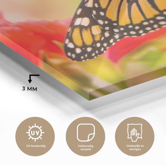MuchoWow® Peinture sur verre 40x30 cm - Peinture acrylique sur verre - Fleurs - Papillons - Monarque - Photo sur verre - Peintures