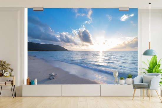 Papier peint - Papier peint photo Plage - Mer - Coquillage - Largeur 600 cm x hauteur 400 cm