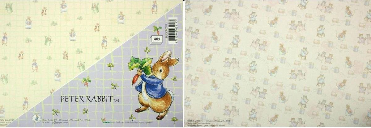 Afbeelding van product 2x Peter Rabbit - Afbeelding Kartonblokken - 10 vellen - 21 x 14,8cm