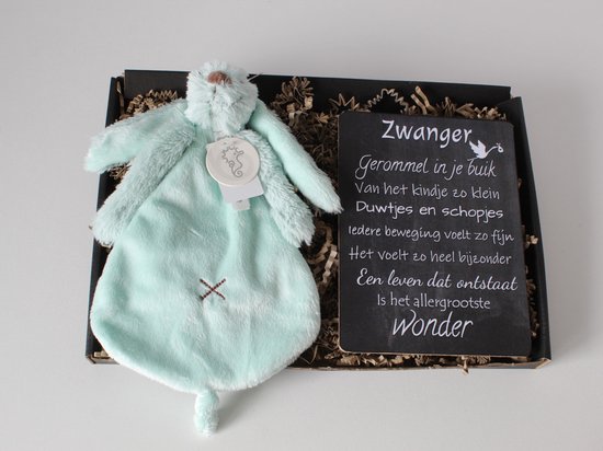 Brievenbuscadeau Rabbit Richie Lagoon - cadeau zwangerschap - cadeau baby - happy horse