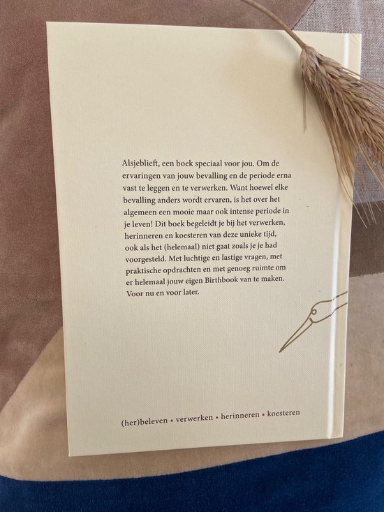 Birthbook - bevalling - verwerking -invulboek- kraamcadeau