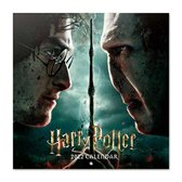 Harry Potter kalender 2023 - J.K. Rowling - Ron - Hermelien - Voldemort - formaat 30 x 30 cm