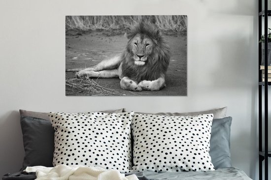 Tableau sur toile Lion couché en Afrique - noir et blanc - 60x40 cm - Décoration murale