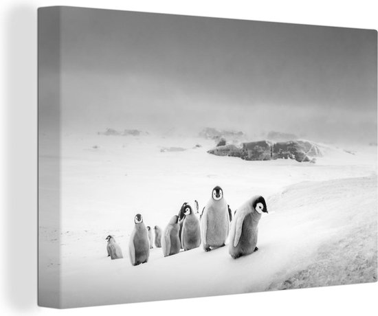 Canvas schilderij 150x100 cm - Wanddecoratie Jonge pinguïns beklimmen een ijsberg - zwart wit - Muurdecoratie woonkamer - Slaapkamer decoratie - Kamer accessoires - Schilderijen