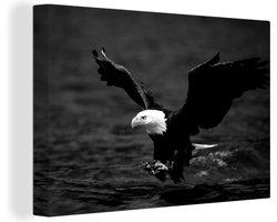 Canvas schilderij 150x100 cm - Wanddecoratie Close-up vliegende zeearend - zwart wit - Muurdecoratie woonkamer - Slaapkamer decoratie - Kamer accessoires - Schilderijen