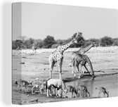 Canvas Schilderij Drinkende dieren in de savanne - zwart wit - 80x60 cm - Wanddecoratie