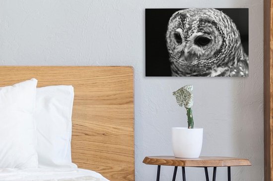 Peinture sur toile Chouette hulotte sur fond noir - noir et blanc - 30x20 cm - Décoration murale