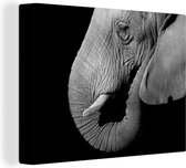 Canvas Schilderij Close-up portret van een olifant op een zwarte achtergrond - zwart wit - 120x90 cm - Wanddecoratie