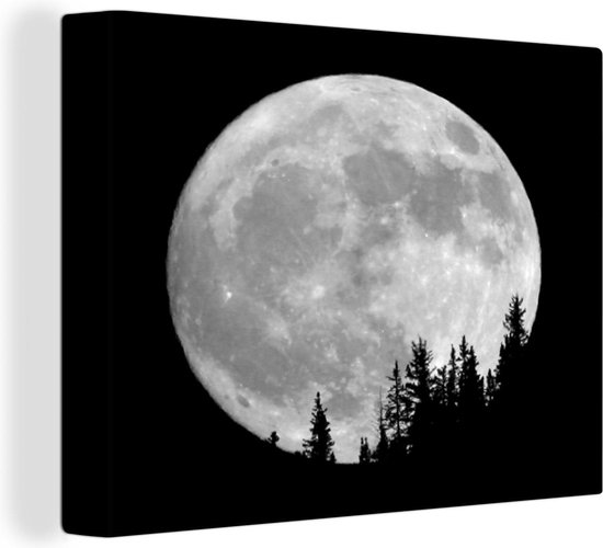 Peinture sur toile Pleine lune derri re les pins noir et blanc