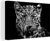 Toile Peinture Tigre sur fond noir - noir et blanc - 150x100 cm - Décoration murale