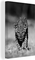 Toile Peinture ourson léopard - noir et blanc - 20x30 cm - Décoration murale