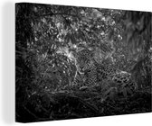 Tableau sur toile Jaguar dans la jungle - noir et blanc - 60x40 cm - Décoration murale