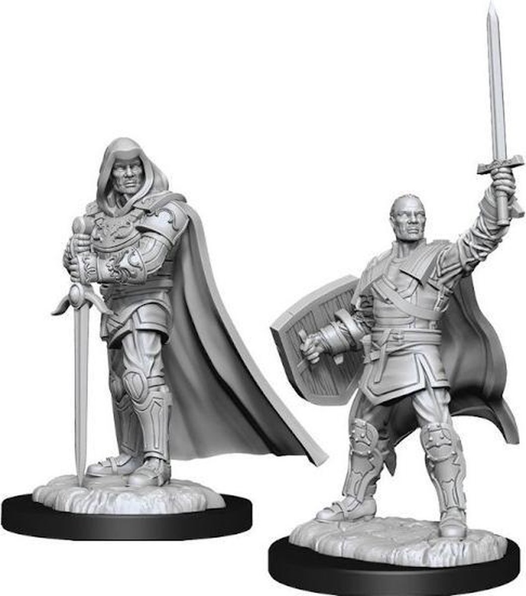 Dungeons and Dragons Miniatures - Nolzur's Marvelous - Human Male Paladin - Miniatuur - Ongeverfd