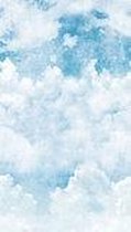 DUTCH WALLCOVERINGS BLUE CLOUDS ONE ROLL ONE MOTIF - GRANDECO A42501
