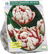 Plantenwinkel Tulipa Dubbel Laat Carnaval de Nice tulpen bloembollen per 15 stuks
