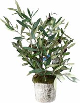 Seta Fiori - Olijfboom - kunstplant -compleet in pot - 50cm -